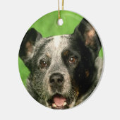 Australian Cattle Dog Ornament (Links)