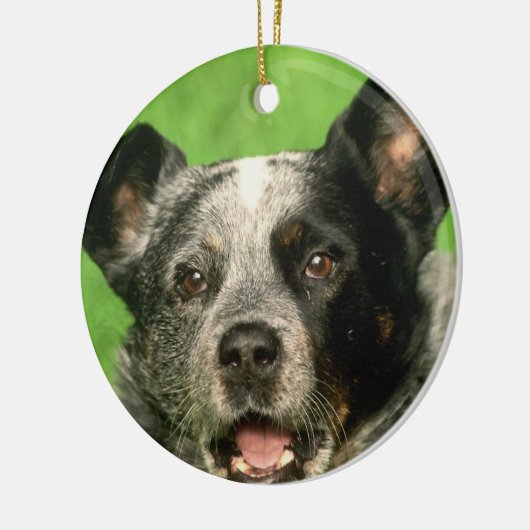 Australian Cattle Dog Ornament (Links)
