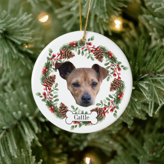 Australian Cattle Dog Personalized Pet Ornament (Boom)