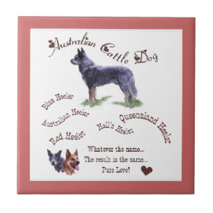 Australian Cattle Dog Pure Love Tegeltje
