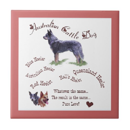 Australian Cattle Dog Pure Love Tegeltje (Voorkant)