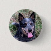 Australian Cattle Dog Ronde Button 3,2 Cm (Voorkant)