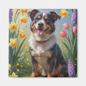 Australian Cattle Dog Spring Bloemen Schilderen Magneet (Voorkant)