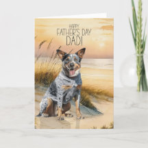 Australian Cattle Dog Sunset Beach Vaderdag
