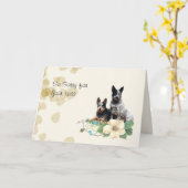 Australian Cattle Dog, Tan leveert sympathie Kaart (Gele Bloem)