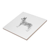 Australian Cattle Dog Tegeltje (Zijkant)