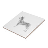 Australian Cattle Dog Tegeltje (Zijkant)