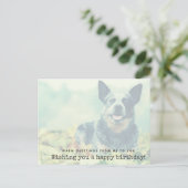 Australian Cattle Dog - Warm greetings van mij Briefkaart (Staand voorkant)