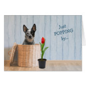 Australian Cattle Dog Wicker Basket Birthday Kaart (Voorkant Horizontaal)