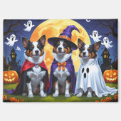 Australian Cattle Dogs Pumpkin Halloween Grappig Magneet (Voorkant)