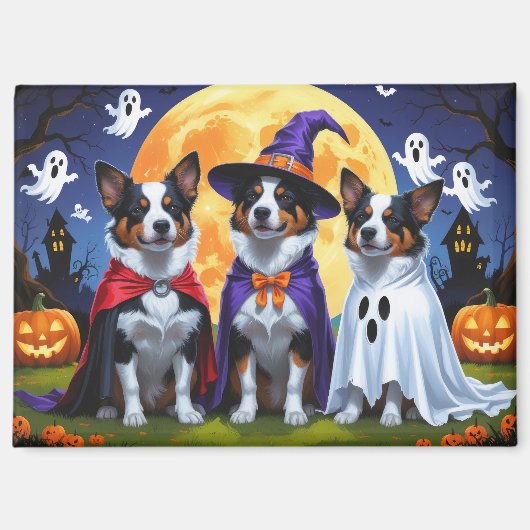 Australian Cattle Dogs Pumpkin Halloween Grappig Magneet (Voorkant)