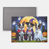 Australian Cattle Dogs Pumpkin Halloween Grappig Magneet (Voorkant / Achterkant)