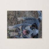Australian Cattle Puppy Dog Legpuzzel (Horizontaal)