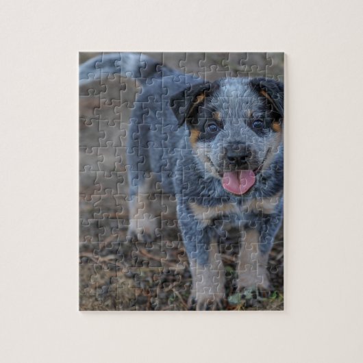 Australian Cattle Puppy Dog Legpuzzel (Verticaal)