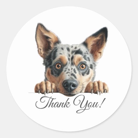 Australian Cattle Schattige Dog Dank u wel Ronde Sticker (Voorkant)
