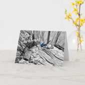 Australian Christmas Greeting Card Fairy Blue Wren Kaart (Gele Bloem)