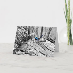 Australian Christmas Greeting Card Fairy Blue Wren Kaart