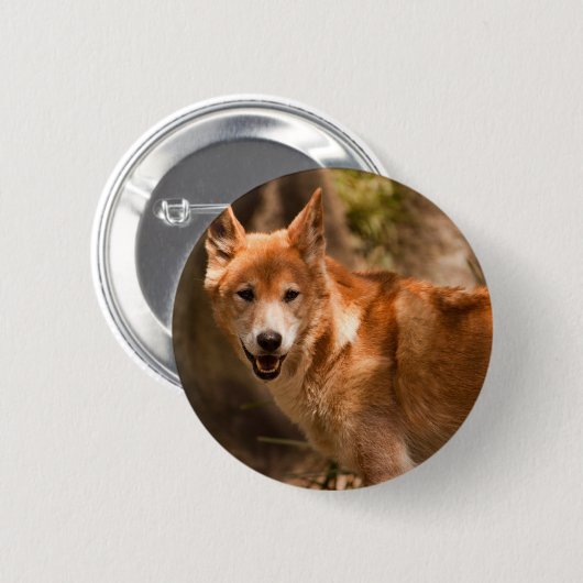 Australian Dingo badge Ronde Button 5,7 Cm (Voorkant /achterkant)