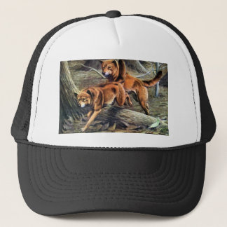 Australian Dingo Trucker Pet
