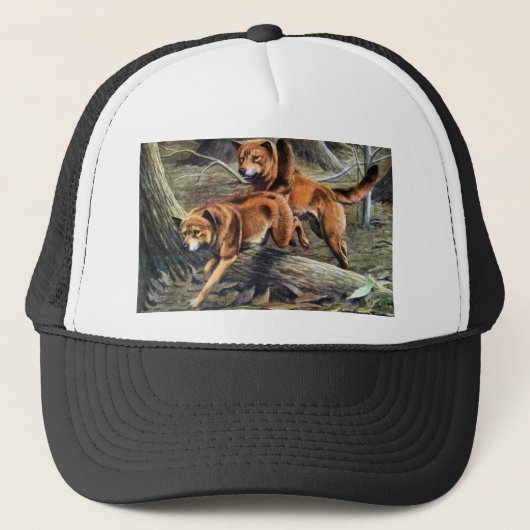 Australian Dingo Trucker Pet (Voorkant)