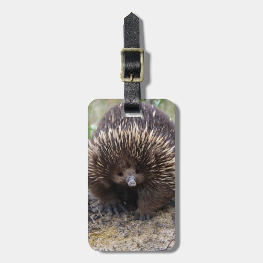 Australian Echidna Cute Animal Foto Bagagelabel (Voorkant verticaal)