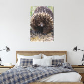 Australian Echidna Cute Animal Foto Canvas Afdruk (Insitu (Slaapkamer))