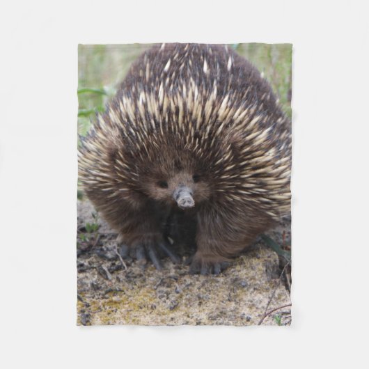 Australian Echidna Cute Animal Foto Fleece Deken (Voorkant)