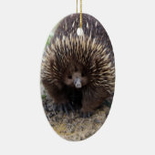 Australian Echidna Cute Animal Foto Keramisch Ornament (Rechts)