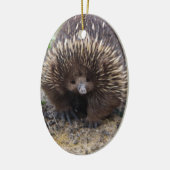 Australian Echidna Cute Animal Foto Keramisch Ornament (Links)