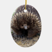 Australian Echidna Cute Animal Foto Keramisch Ornament (Voorkant)
