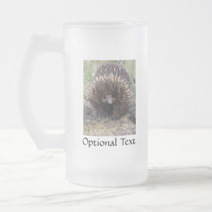 Australian Echidna Cute Animal Foto Matglas Bierpul