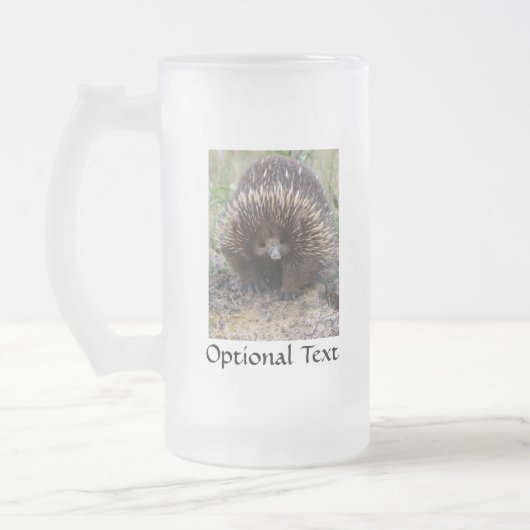 Australian Echidna Cute Animal Foto Matglas Bierpul (Links)