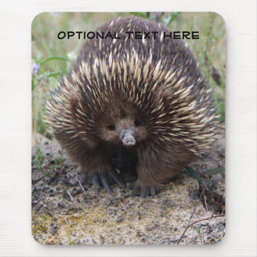 Australian Echidna Cute Animal Foto Muismat (Voorkant)