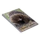 Australian Echidna Cute Animal Foto Notitieboek (Rechterzijde)