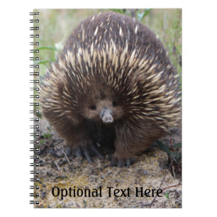 Australian Echidna Cute Animal Foto Notitieboek