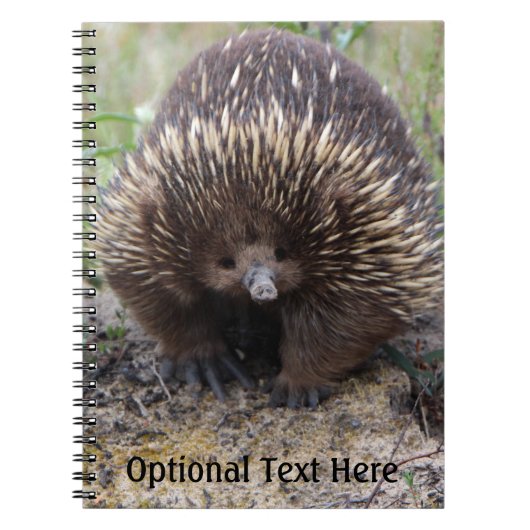 Australian Echidna Cute Animal Foto Notitieboek (Voorkant)