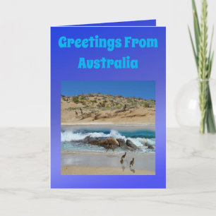 Australian Emu And Koala, Birthday Kaart