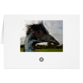 Australian Emu Close, Birthday Kaart (Achterkant Horizontaal)