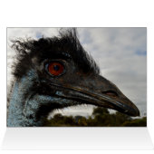 Australian Emu Close, Birthday Kaart (Binnen Horizontaal (Boven))