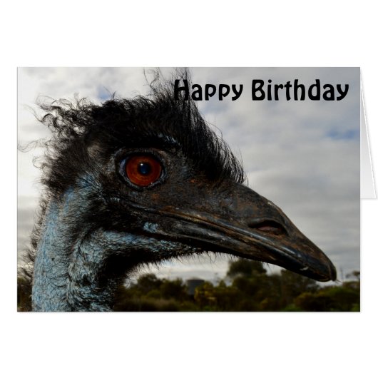 Australian Emu Close, Birthday Kaart (Voorkant Horizontaal)