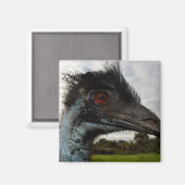 Australian Emu Close up, Fridge Magnet (Voorkant / Achterkant)