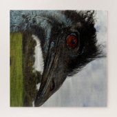 Australian Emu Face Closeup Legpuzzel (Horizontaal)