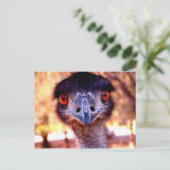Australian Emu Wildlife Briefkaart (Staand voorkant)