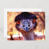 Australian Emu Wildlife Briefkaart (Voorkant / Achterkant)