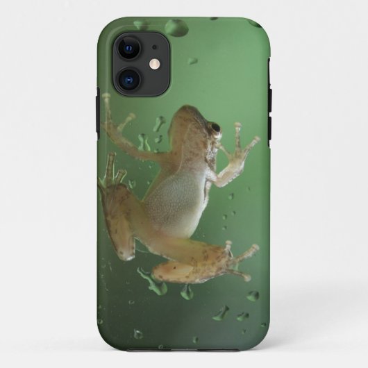 Australian Frog Super Realistic iPhone case (Achterkant)