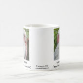 Australian Galah (Roos gekweekt katoen) Koffiemok (Center)