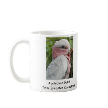 Australian Galah (Roos gekweekt katoen)