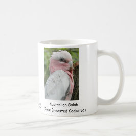 Australian Galah (Roos gekweekt katoen) Koffiemok