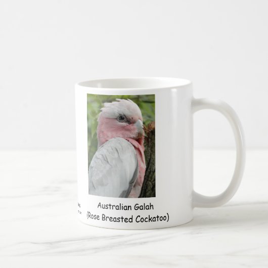 Australian Galah (Roos gekweekt katoen) Koffiemok (Rechts)
