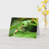 Australian Green Tree Frog foto wenskaart Kaart (Gele Bloem)